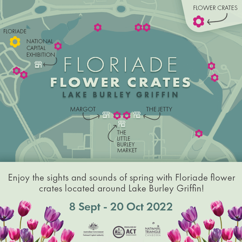 Stylized vector map of Lake Burley Griffin and Floriade Flower Crates 