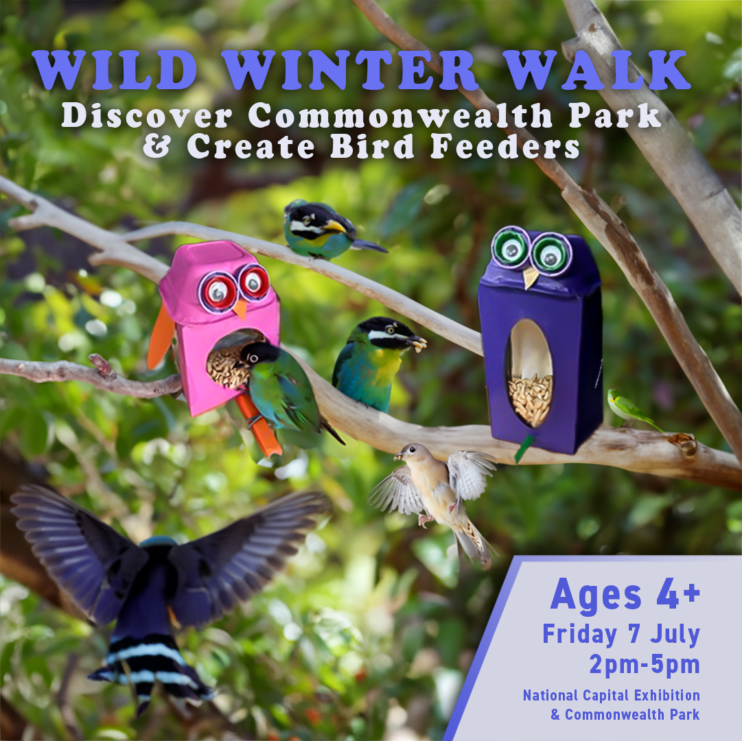 A graphic of handmade birdfeeders sitting on branches surrounded by hungry birds. Text says Wild Winter Walk discover commonwealth park & create bird feeders. Ages 4+ Friday 7 July 2pm-5pm. National Capital Exhibition & Commonwealth Park.