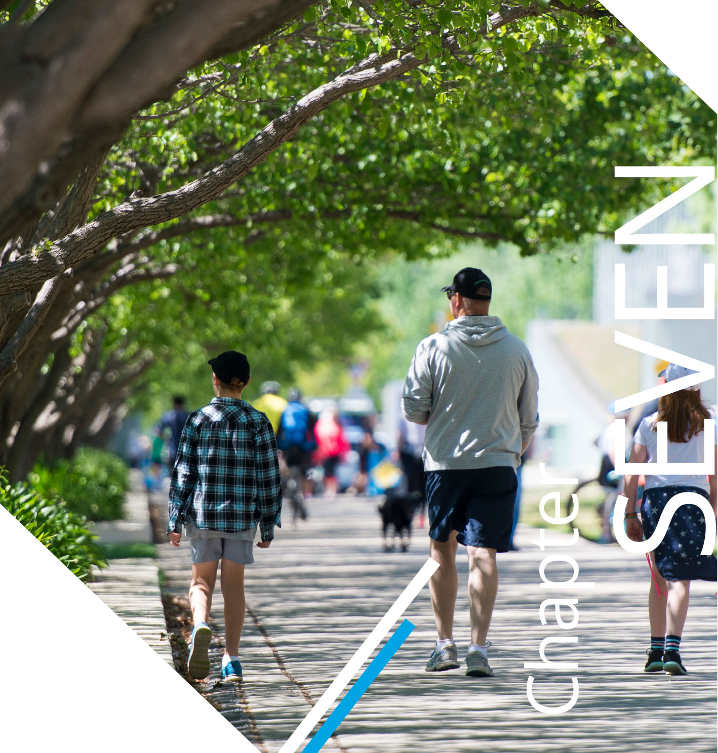 Chapter 7 -  People walking on the shores of Lake Burley Griffin, Commonwealth Place, Parkes.