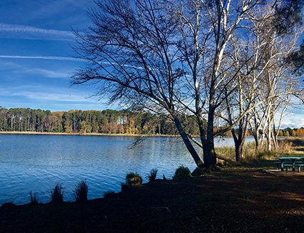 Yarramundi Reach, Lake Burley Griffin, 2017