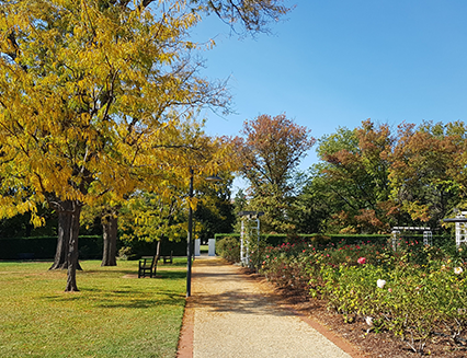 House of Representatives Garden, Old Parliament House,
2019