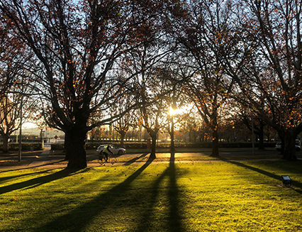 King Edward Terrace, Parkes, 2019