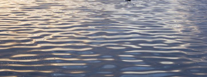 Lake Burley Griffin water ripples