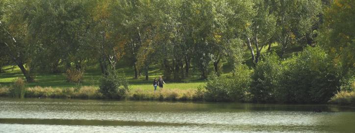 Acton Peninsula looking across the lake to a park