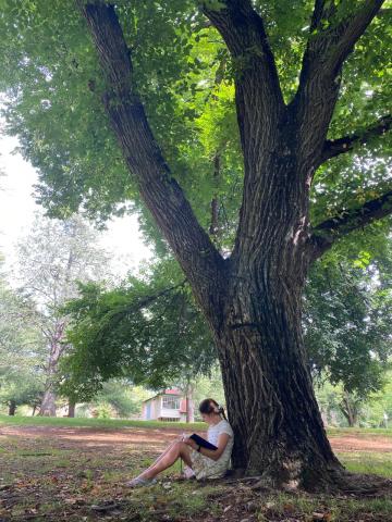 Tree Week Drawing Competition 