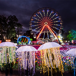 Floriade at night with lights all over the ferris wheel