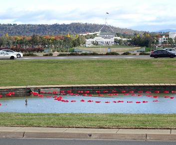 Rond Pond, Parkes.