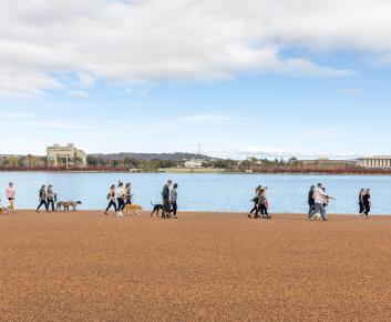 A group of walkers, some accompanied by dogs walk around Lake Burley Griffin central basin, the walkers are currently moving across Rond Terrace with Parliament House in the background.