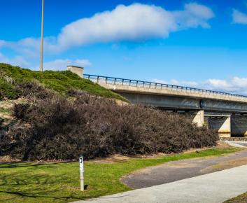 Kings Park Pathway