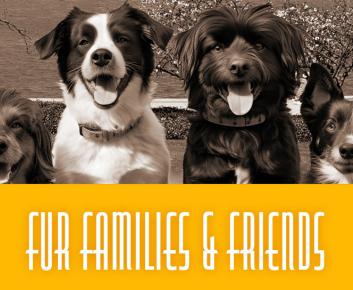 A sepia toned photo, featuring five dogs of different breeds, sitting together facing the camera with gardens of regatta point and Lake Burley Griffin in the background