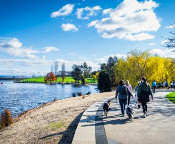 People walking their dogs around central basin of Lake Burley Griffin