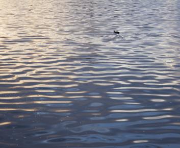 water ripples