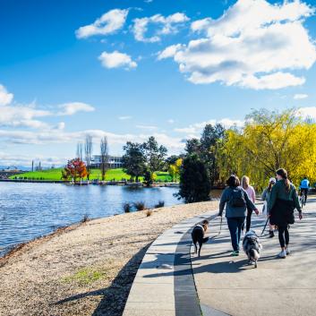 People walking their dogs around central basin of Lake Burley Griffin